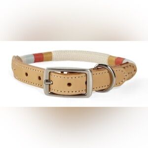 Youly Colorful Leather Dog Collar (The Wanderer)